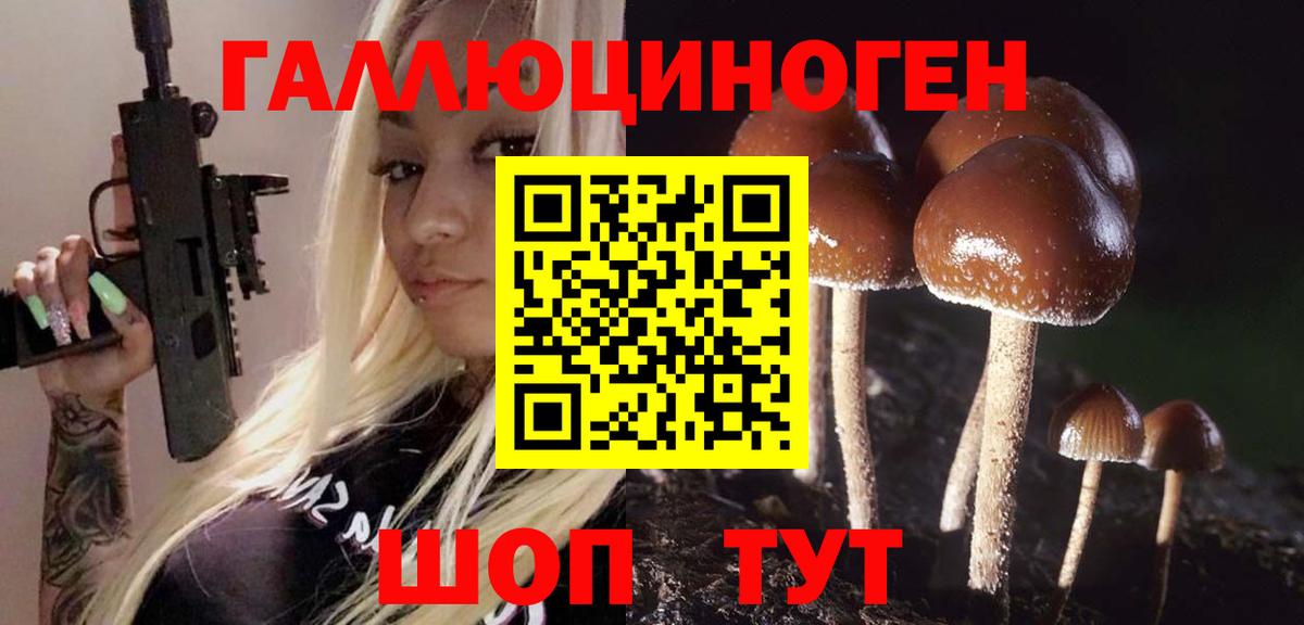Галлюциногенные грибы мухоморы Дербент